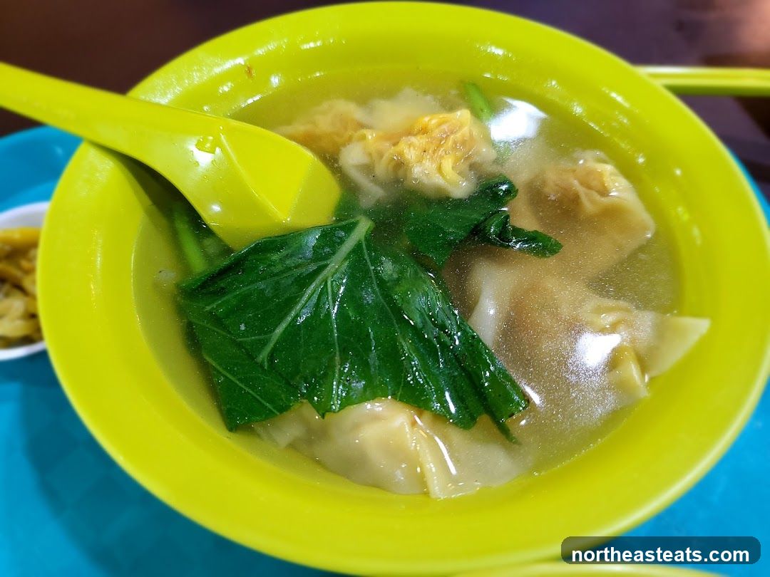 Wonton Soup