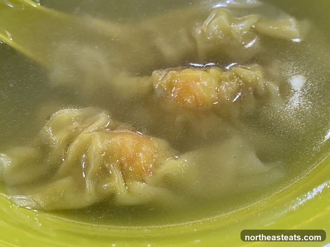 Wonton Soup