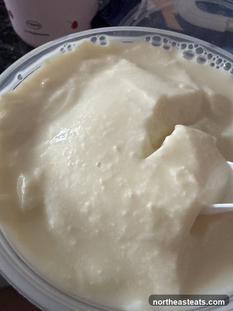 Creamy Dessert