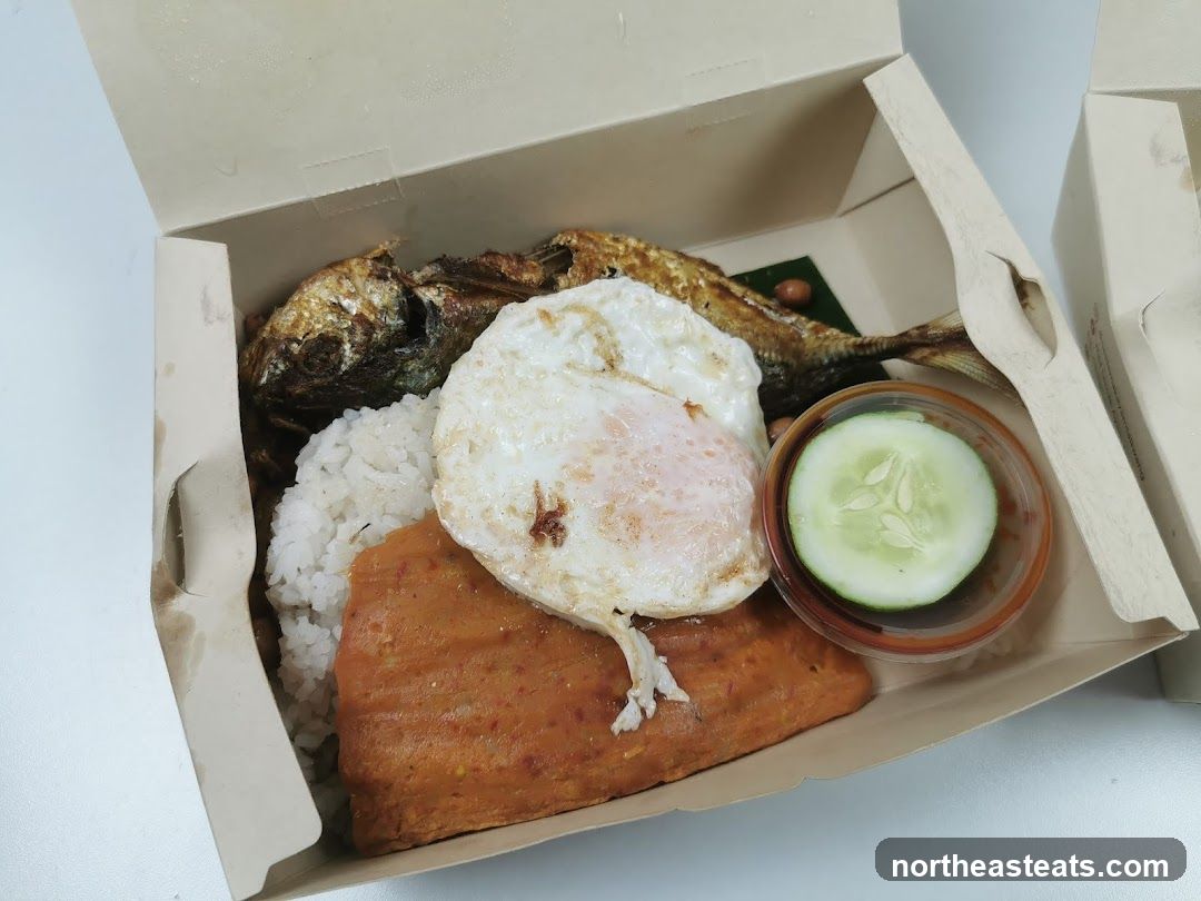 Nasi Lemak Takeaway Box
