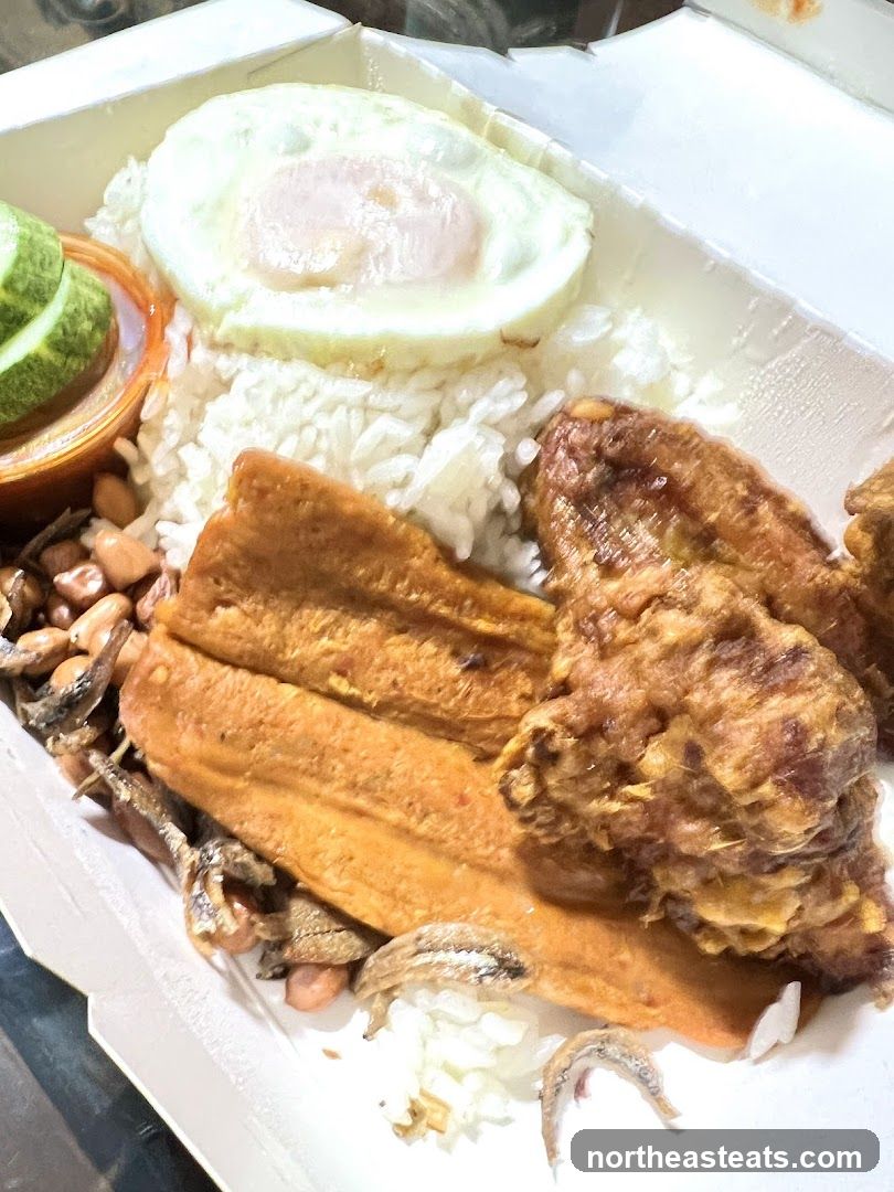 Nasi Lemak Meal