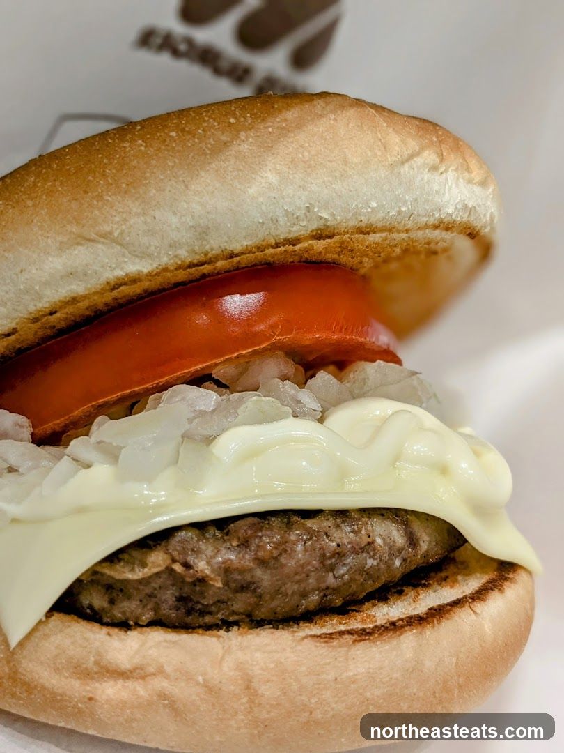 Burger with Cheese