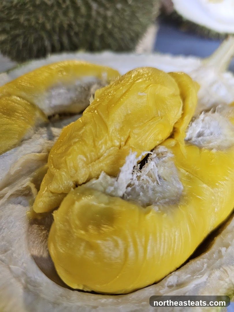 Durian Fruit