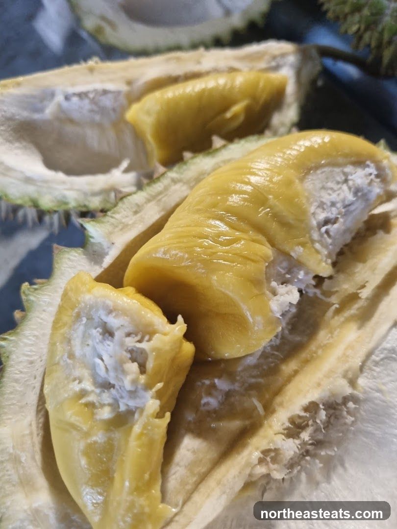 Durian Fruit