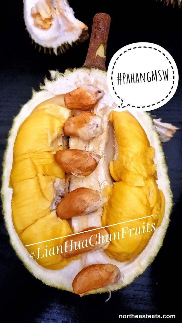 Durian Fruit