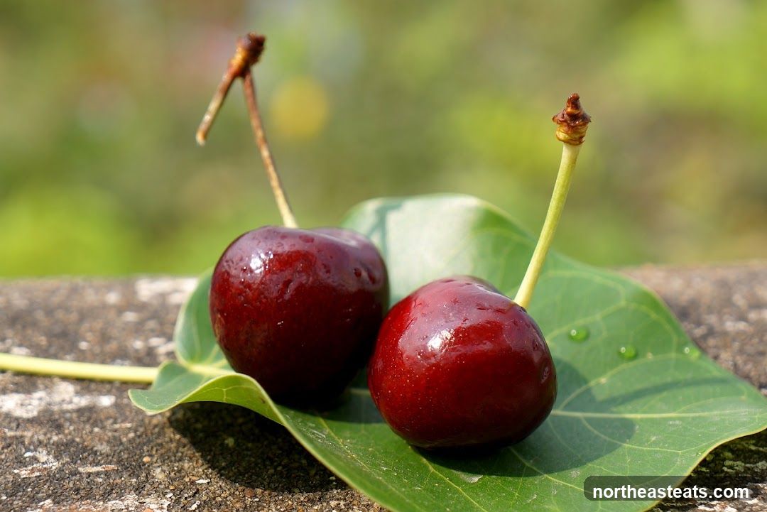 Two Cherries on a Leaf