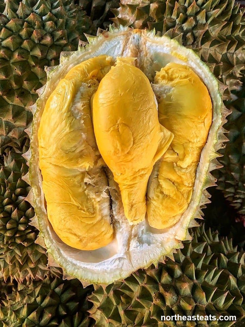 Durian Fruit