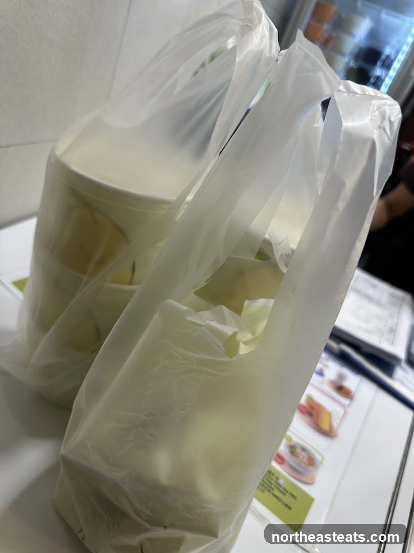Takeaway Food Bags