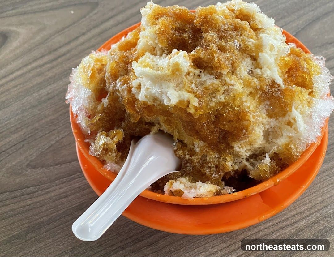 Shaved Ice Dessert