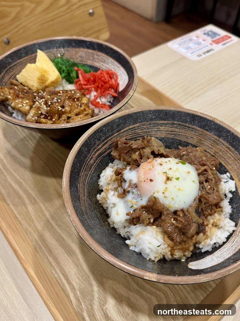 Two Bowls of Japanese Rice Bowls