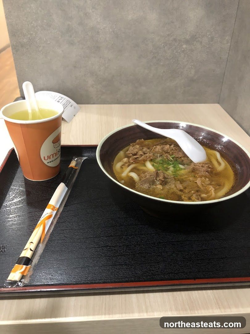 Udon Noodle Soup and Drink