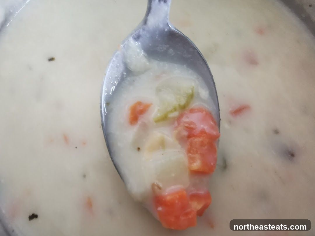 Creamy Vegetable Soup on Spoon