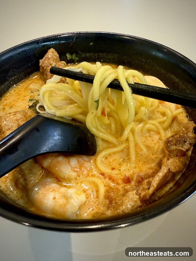Laksa Noodles