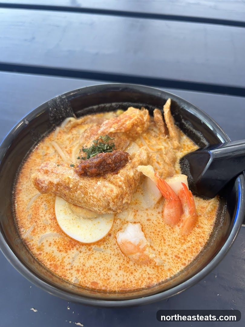Laksa Noodle Soup