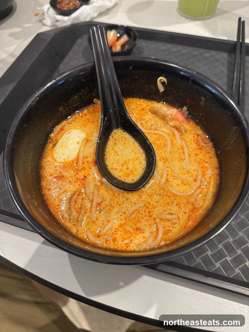 Laksa Noodle Soup