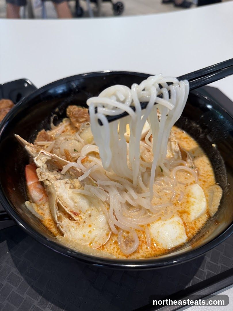 Laksa Noodles