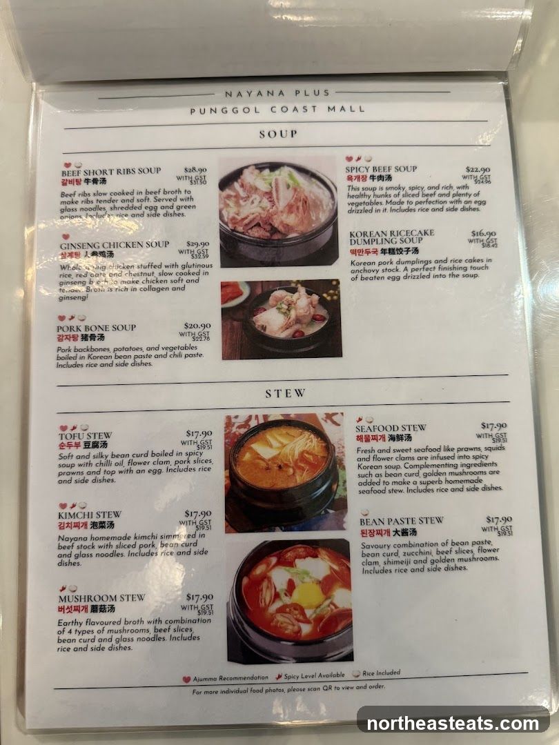 NAYANA PLUS PUNGGOL COAST MALL SOUP & STEW