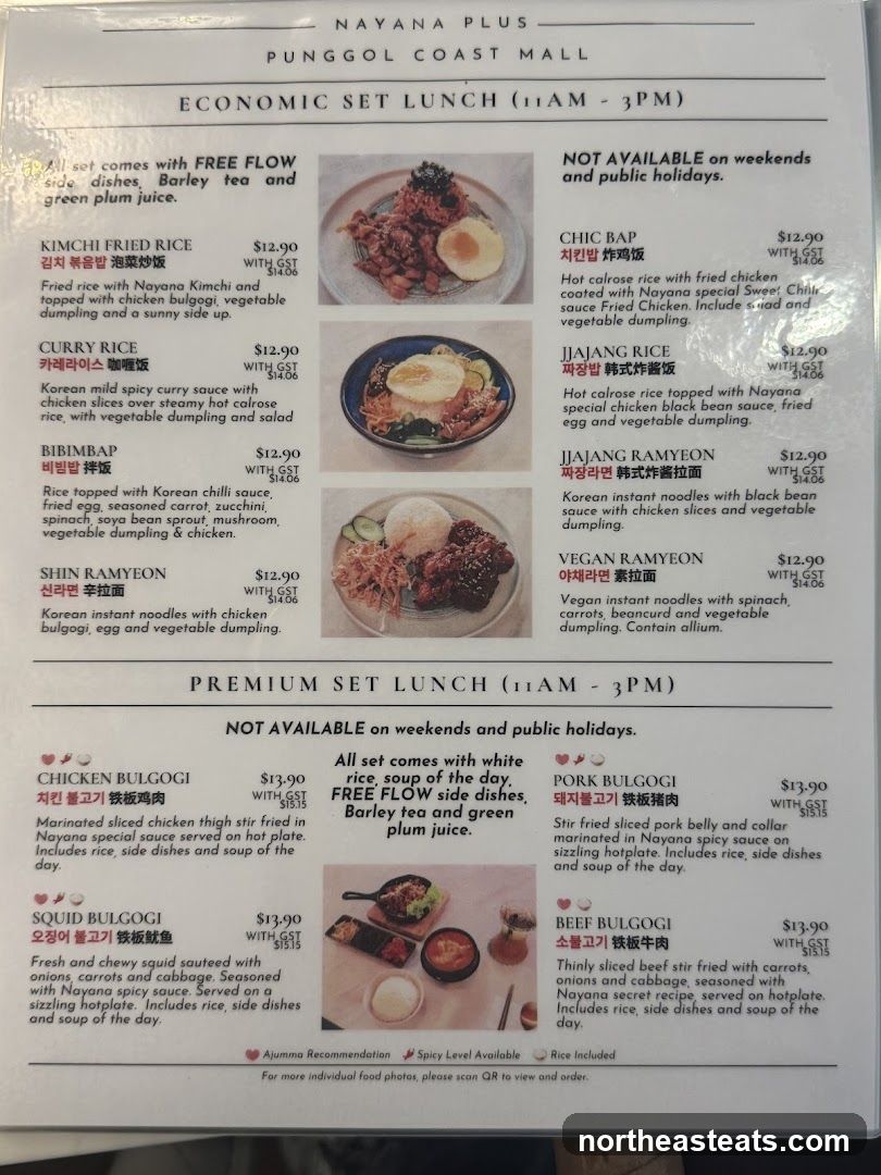 NAYANA PLUS PUNGGOL COAST MALL ECONOMIC SET LUNCH (11AM - 3PM)