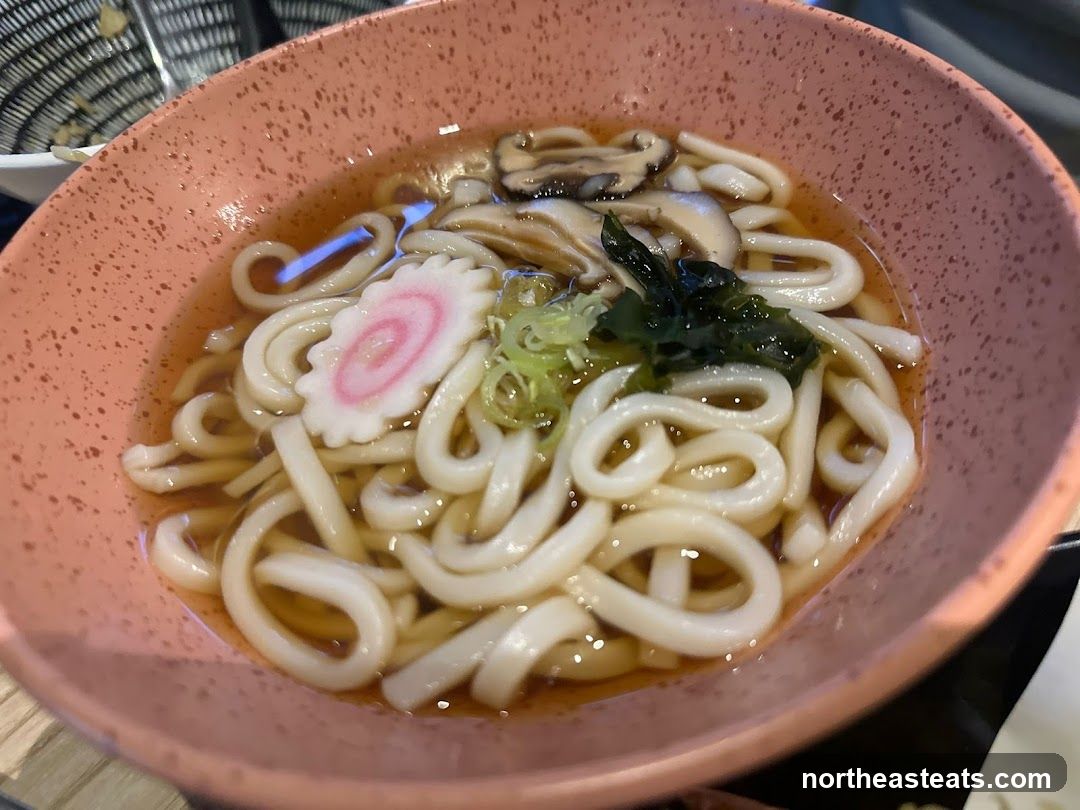 Udon Noodle Soup
