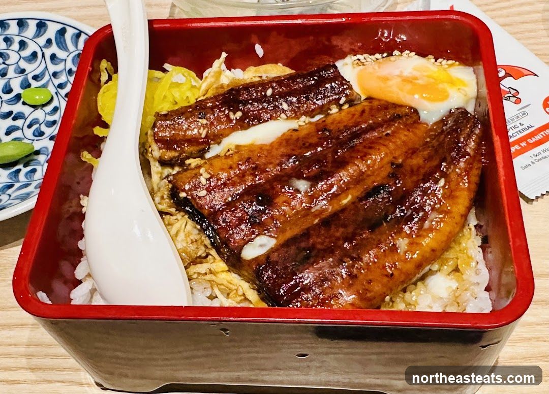 Unagi Donburi