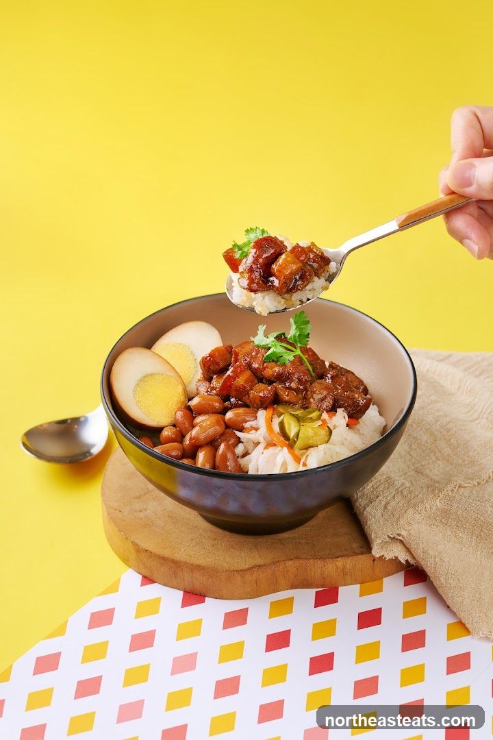 Braised Pork Rice