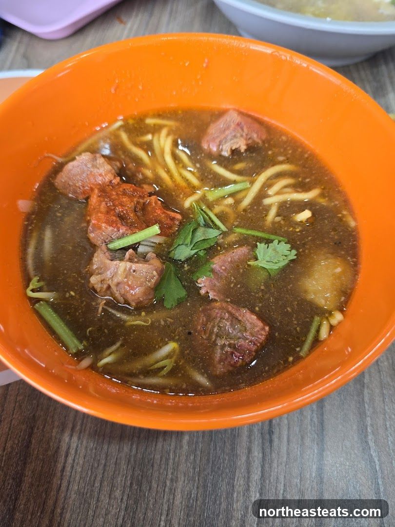 Bowl of Noodles with Beef
