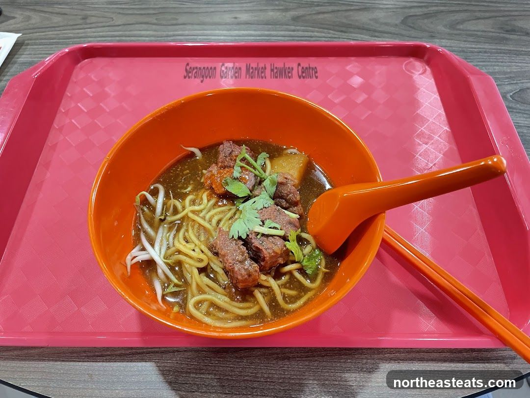 Noodle Soup Dish