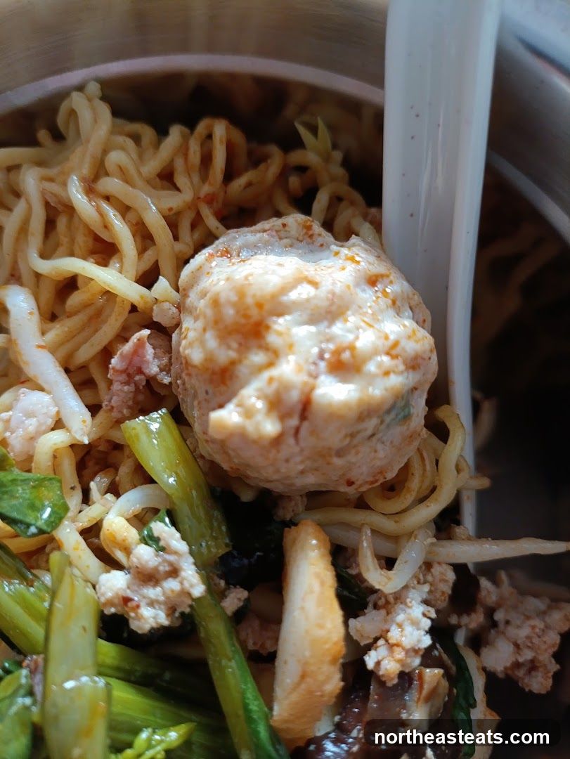 Noodle Dish with Meatball