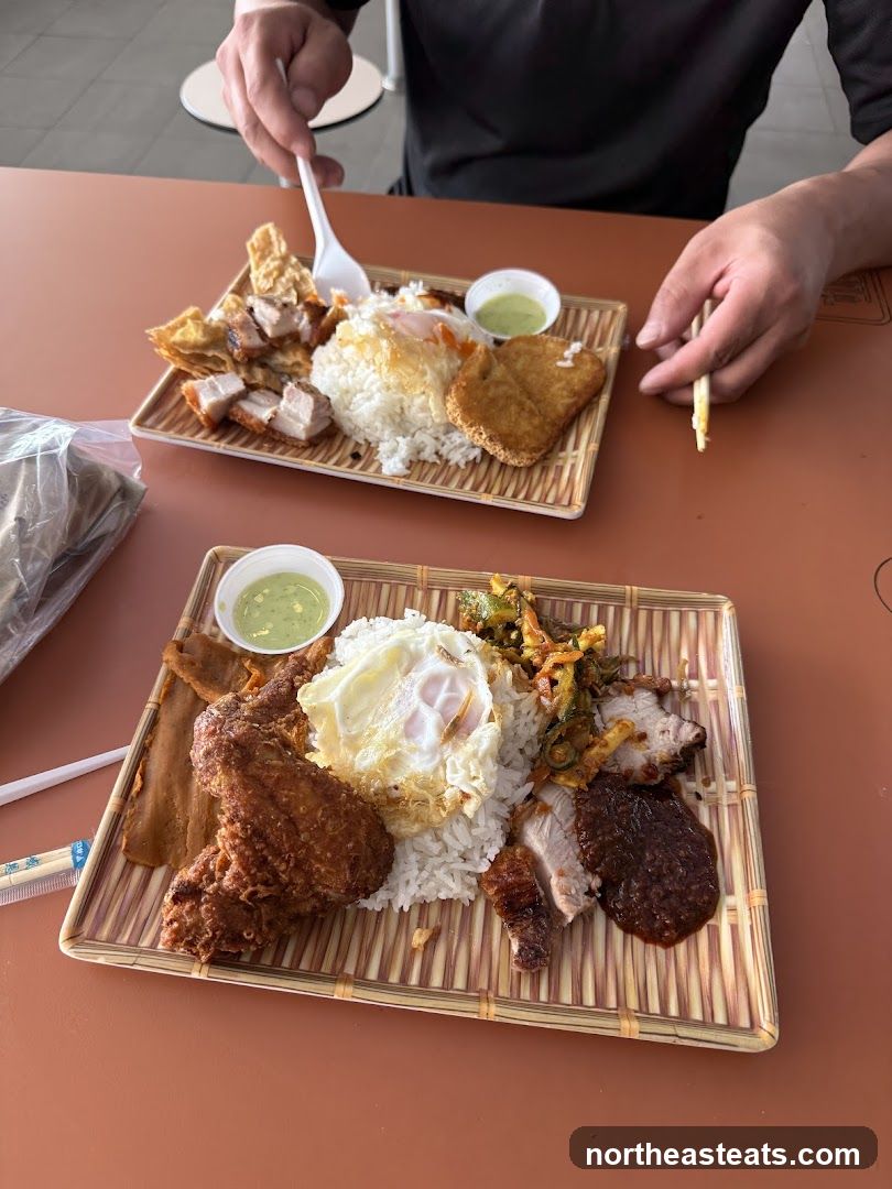 Two plates of rice with various toppings