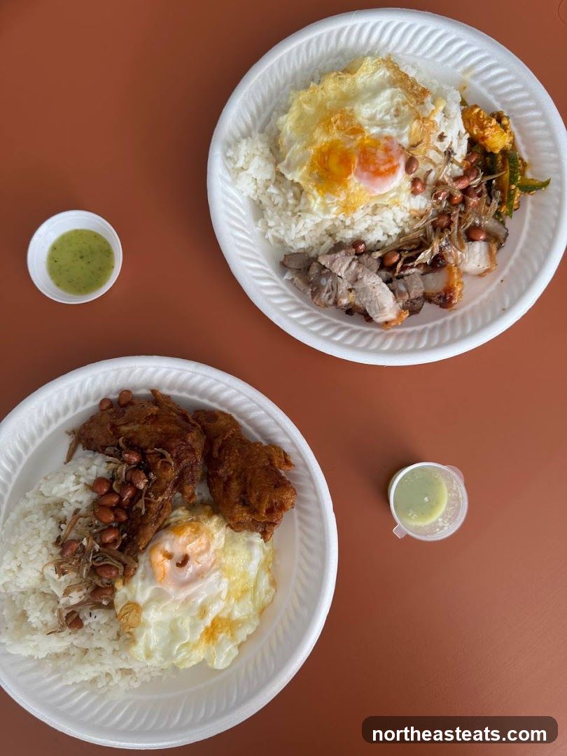 Two plates of rice with fried eggs and meat