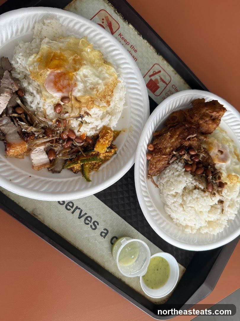 Two plates of rice with toppings and dipping sauces