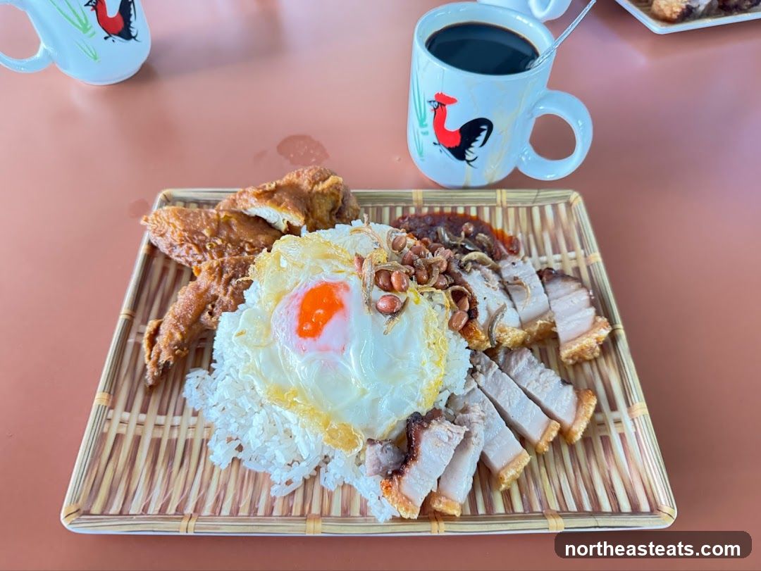 Roast Pork and Fried Chicken Rice
