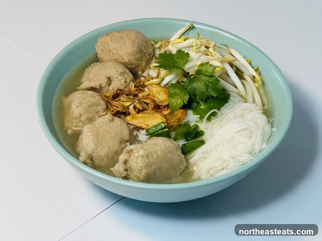 Bowl of Noodle Soup with Meatballs