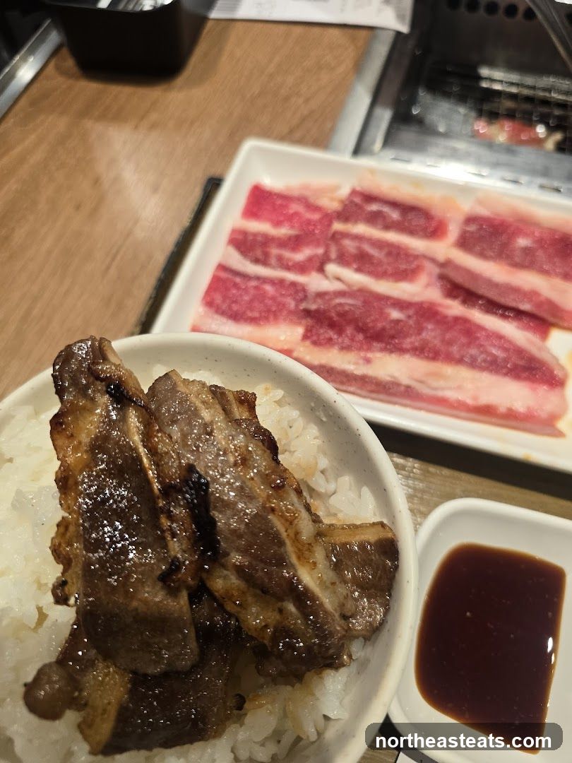 Grilled Meat and Rice