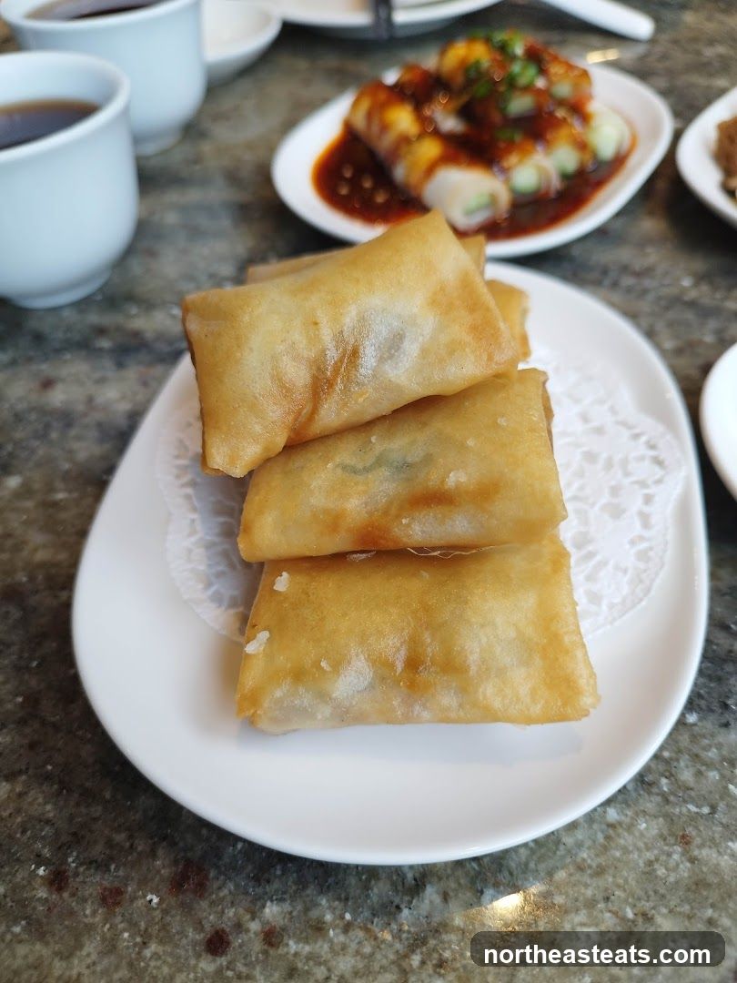 Spring Rolls and Appetizers