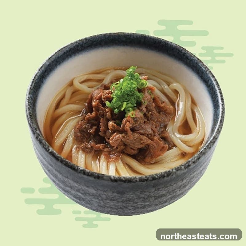 Beef Udon Noodle Soup