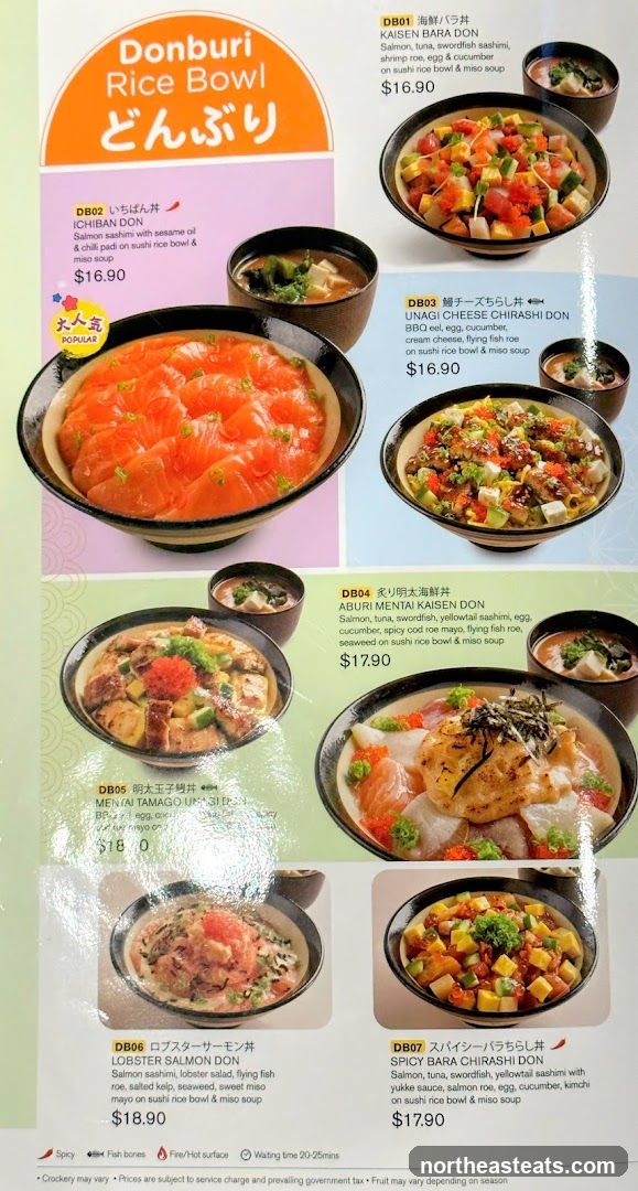 Donburi Rice Bowl