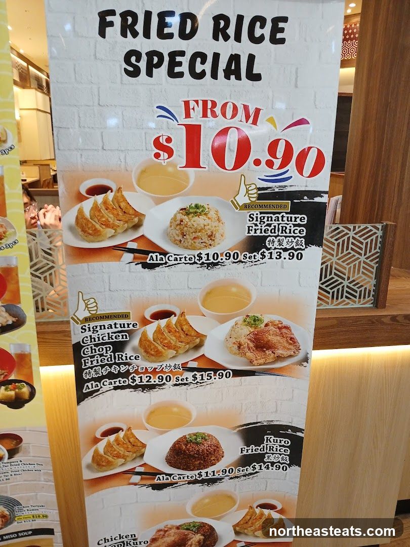 FRIED RICE SPECIAL