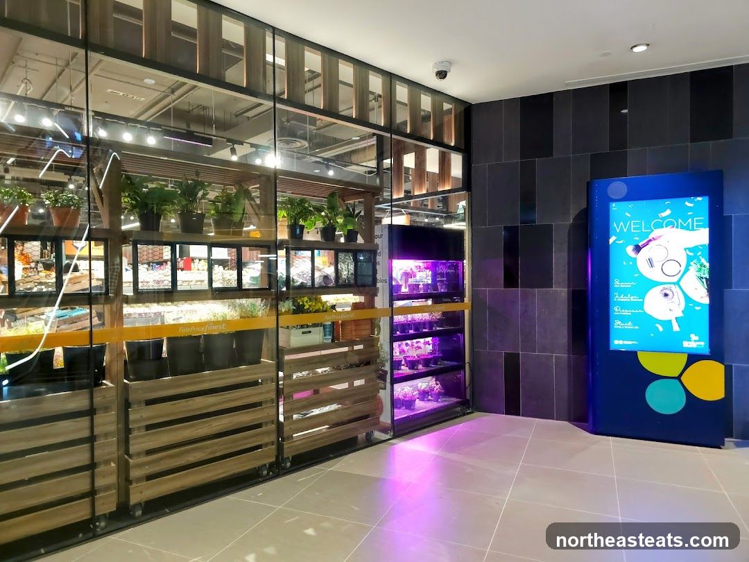 Digital Welcome Screen and Indoor Plants