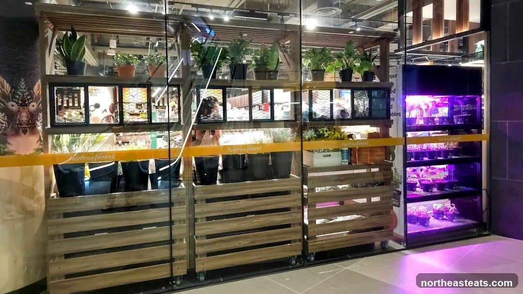 Indoor plants and produce display