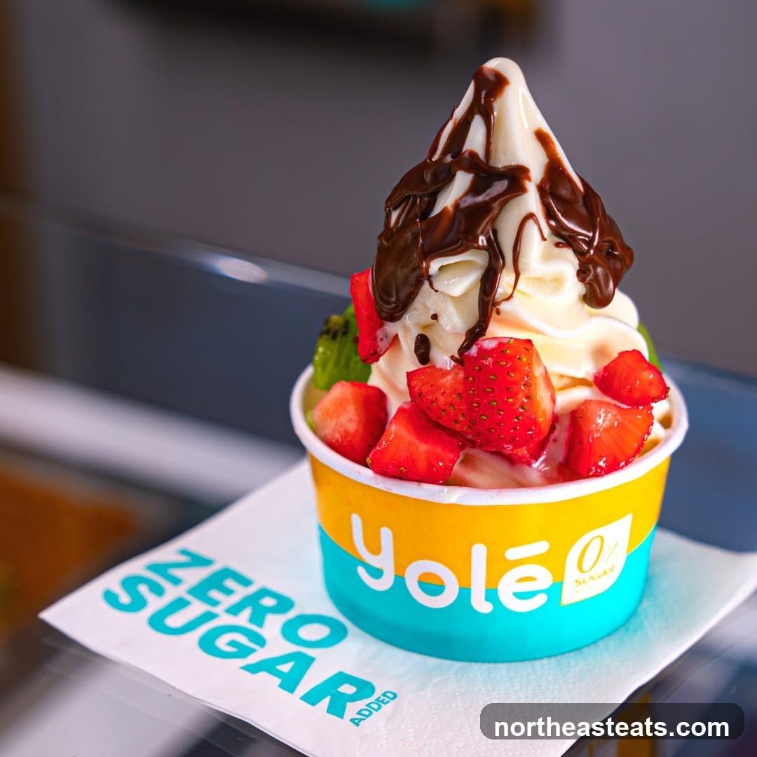 Yolé Frozen Yogurt with Fruit and Chocolate Drizzle