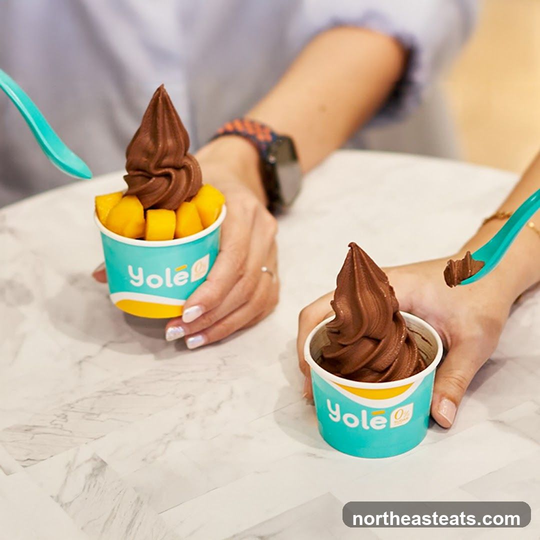 Chocolate Soft Serve with Mango