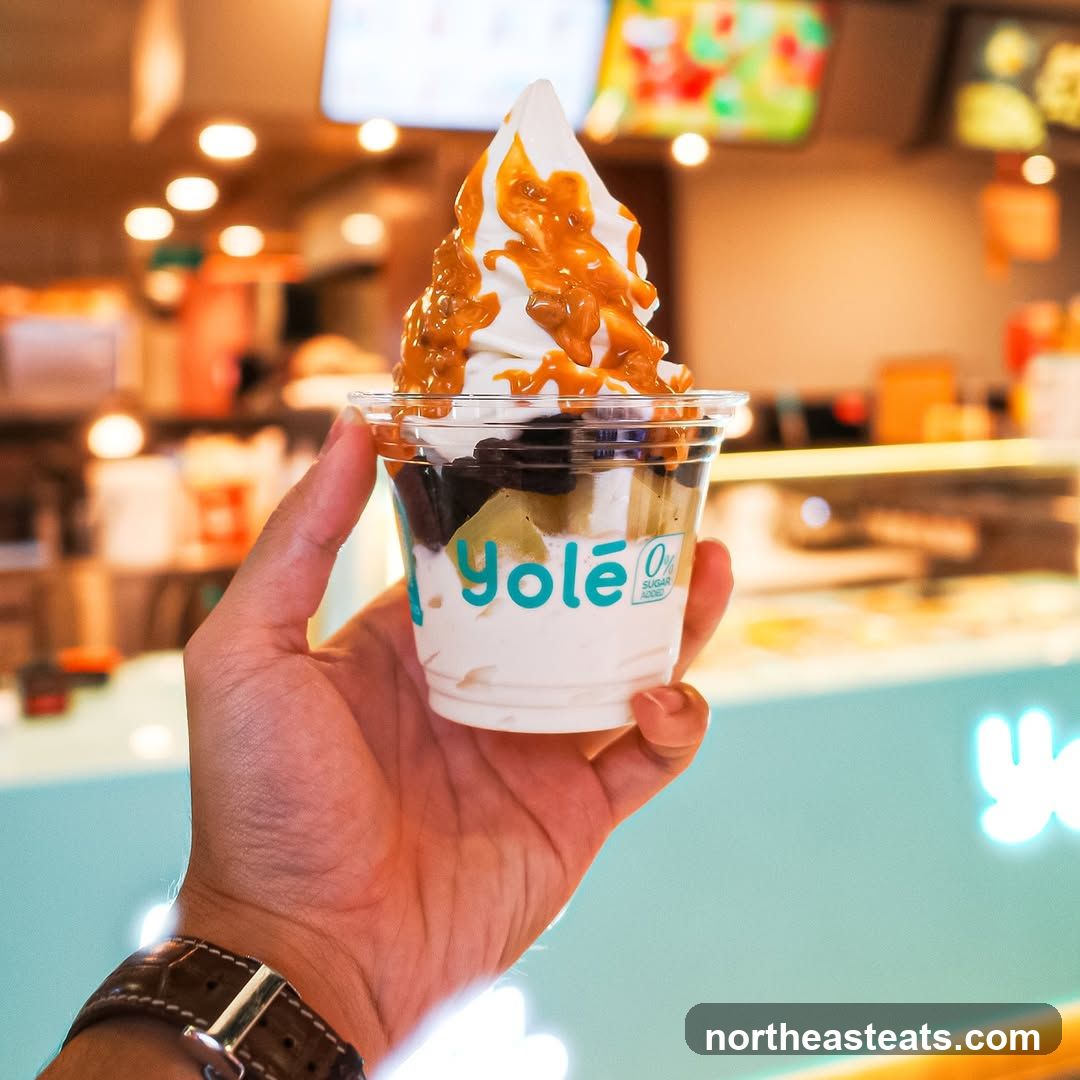 Yole Frozen Yogurt Cup