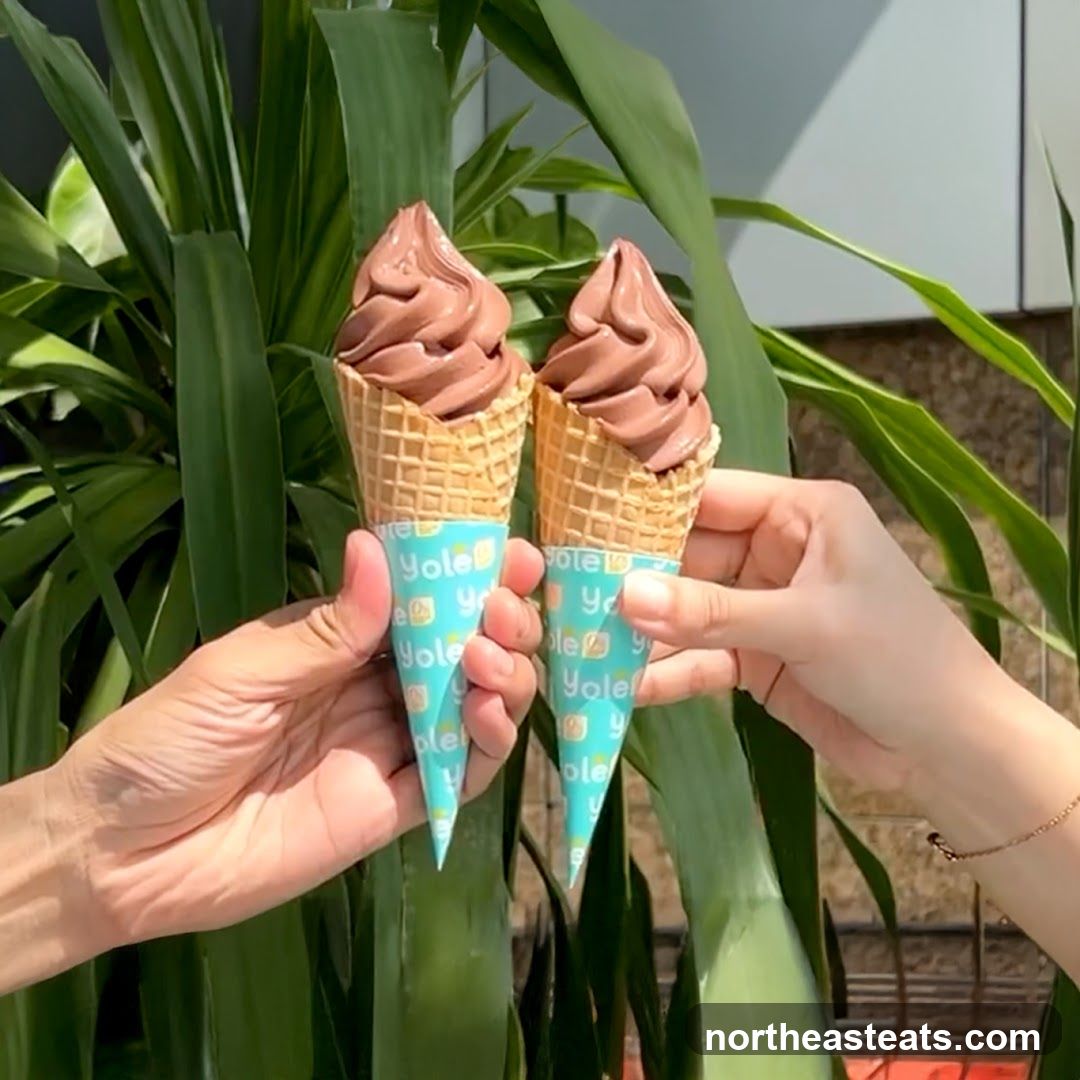 Two Chocolate Soft Serve Ice Cream Cones
