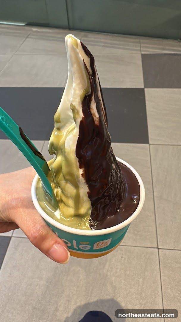 Soft Serve Ice Cream with Chocolate Drizzle
