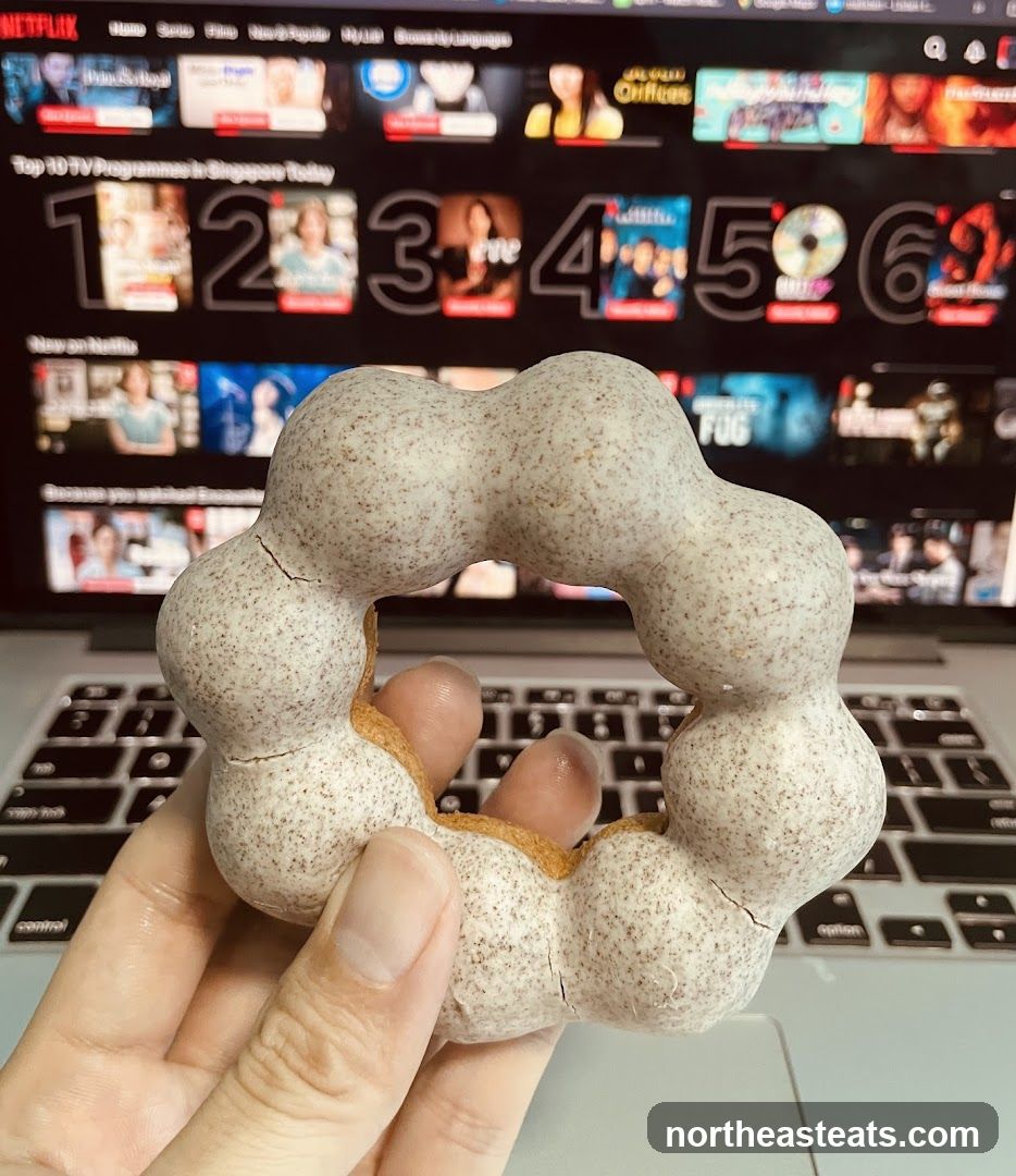 Donut in front of Netflix screen