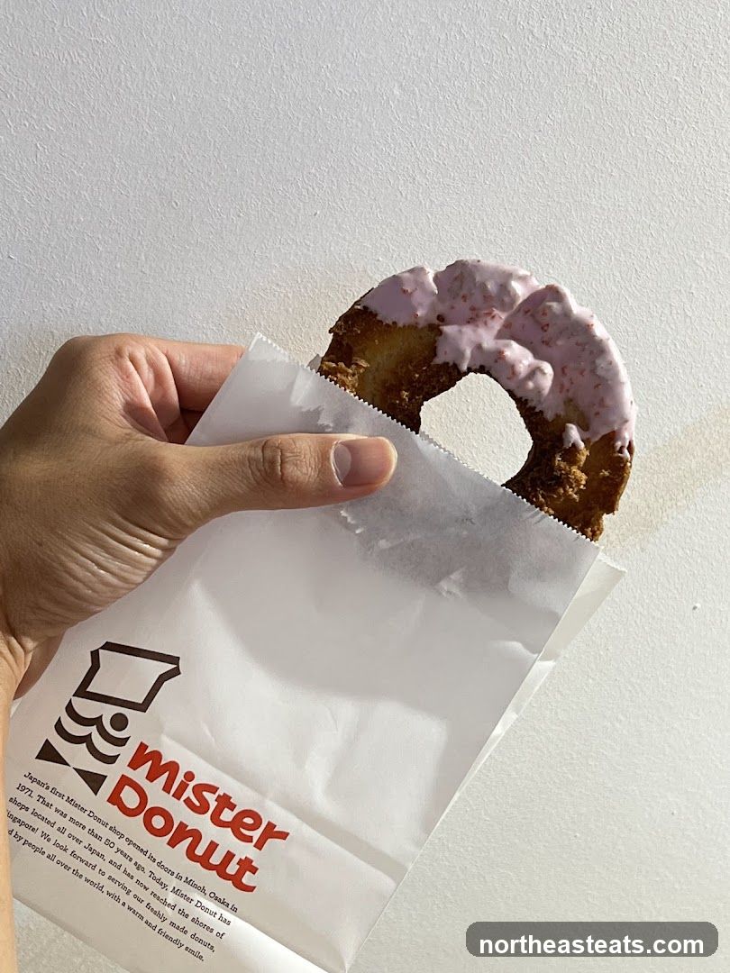 Mister Donut Bag with Donut
