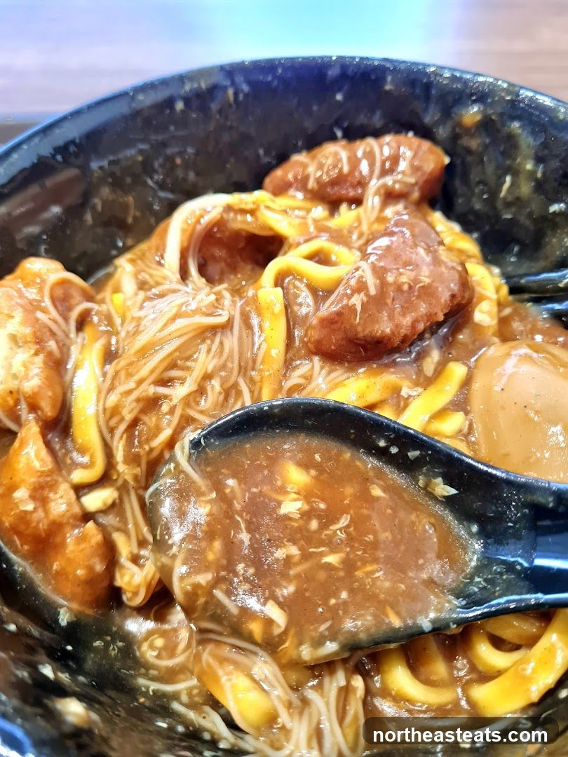 Noodles with Gravy and Meat