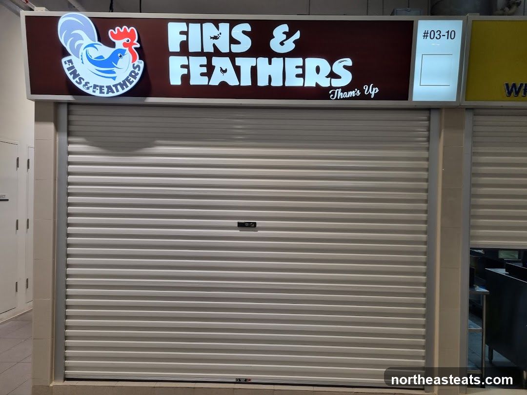 Fins and Feathers