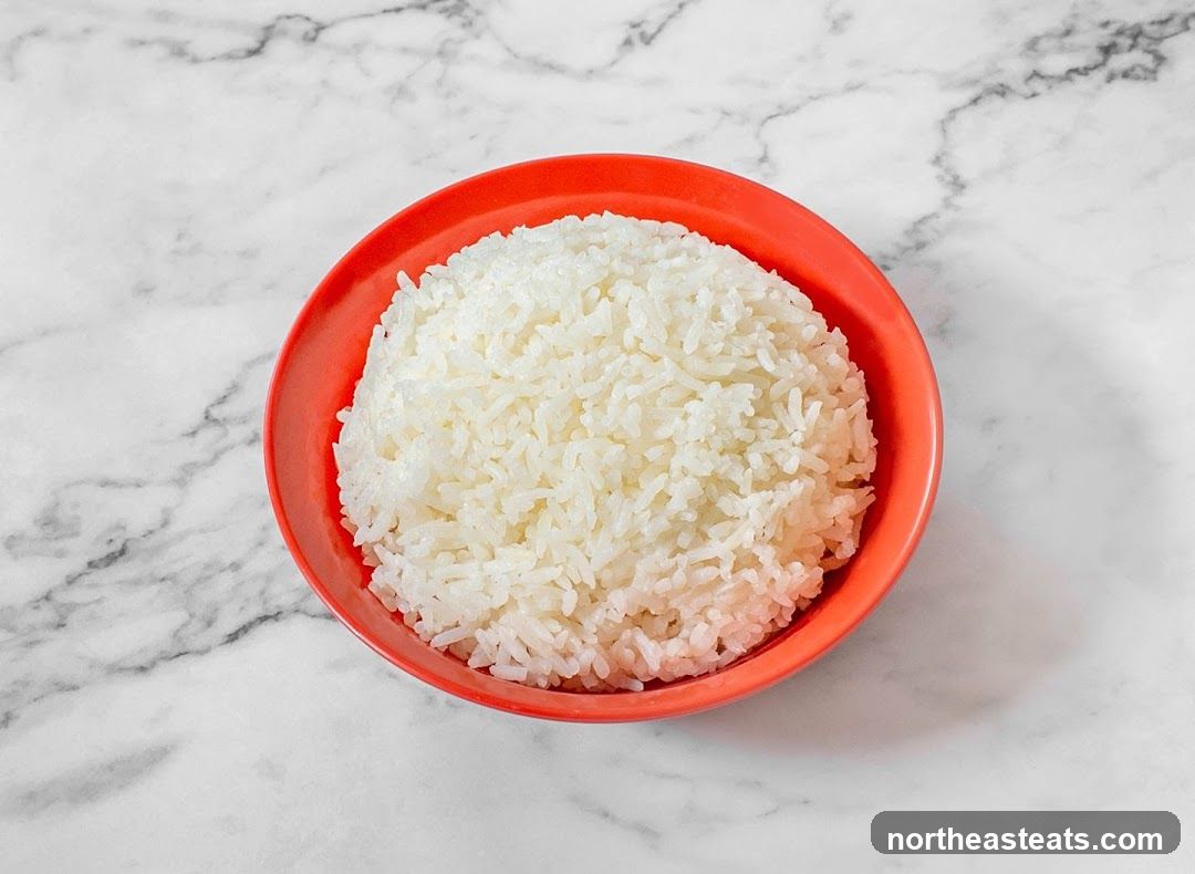 Bowl of Rice